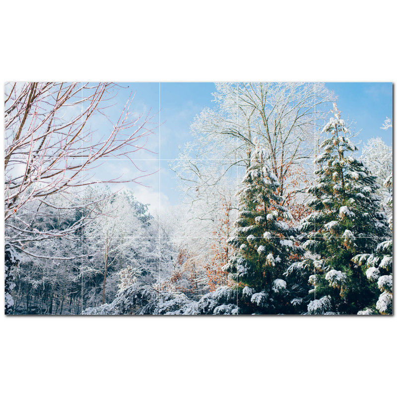 Photo d'hiver 6 x 6