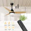 Ceiling Fan with LED Lights