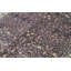 Shah Wool Oriental Area Rug in Green/Gray