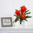 Bromeliad Arrangement