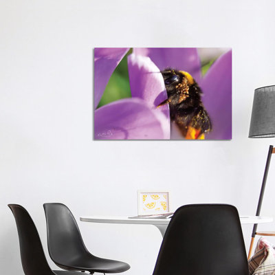 Bee II 1 Piece Wrapped Canvas Wall Art
