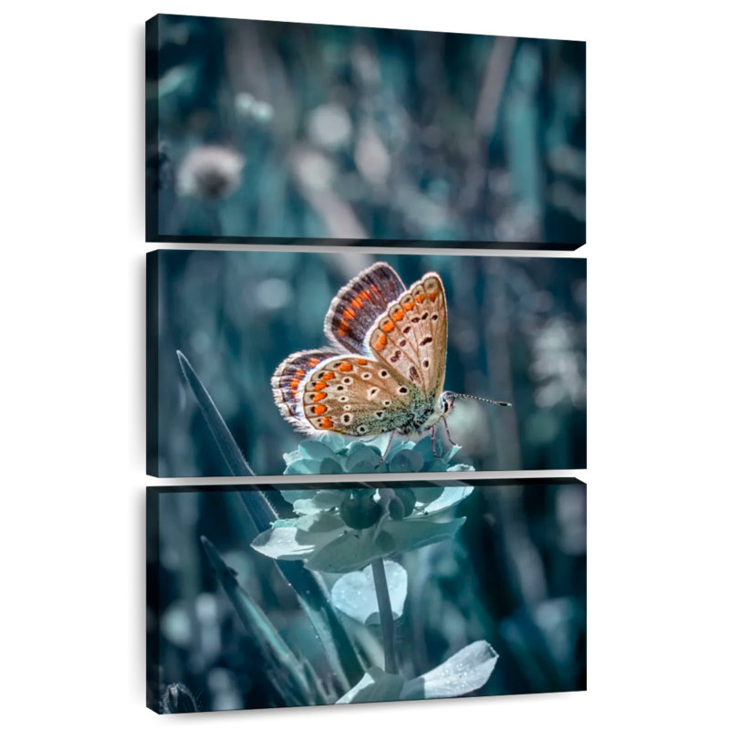 Brampt papillon coucher de soleil, H 38 po x l 24 po