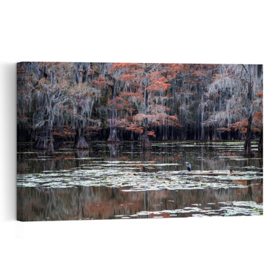 Heron In Autumn Cypress Swamp Peaceful Serene Tranquil Bird Cypress Lily Autumn Landscape Wall Art Print by Summer2016 - Print