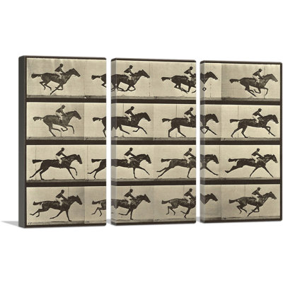 " Animal Locomotion Race Horse " 3 Piece Art Graphic Art Print