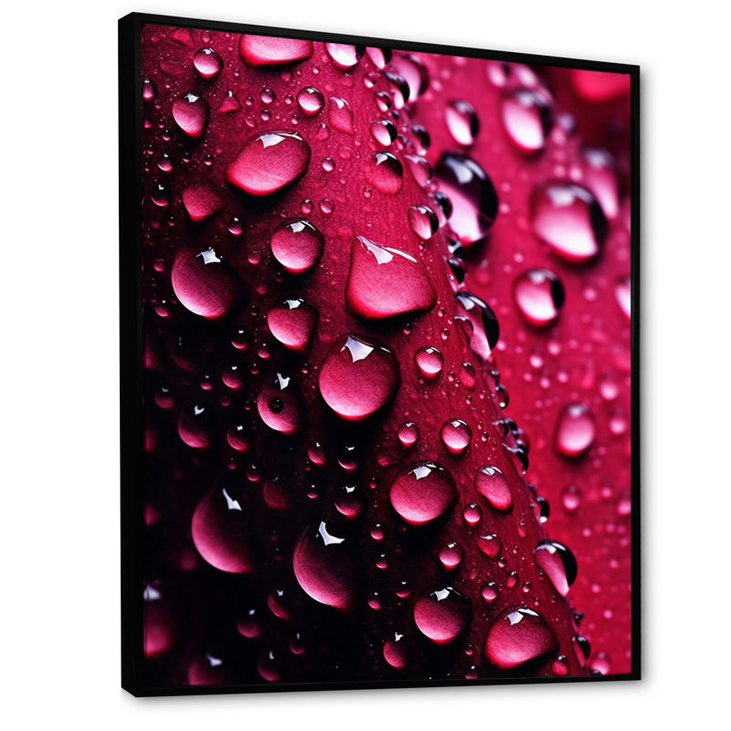 Rose rouge avec des gouttes de pluie xiv, Cadre flottant noir, H 16 po x l 32 po x P 1 po