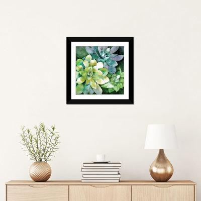 " Summer Succulents " by Conrad Knutsen