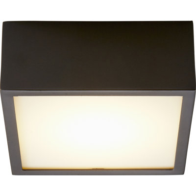 Pyxis Acrylic Flush Mount