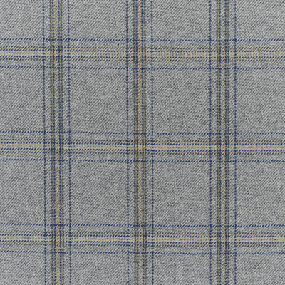 Patterson Flynn Plaid Fabric