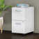 Studio C 16'' Wide 2 -Drawer Mobile File Cabinet
