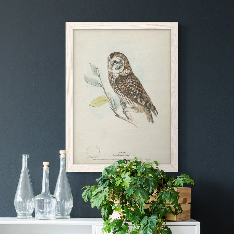 Petite chouette, toile encadrée de qualité supérieure - prête à être accrochée, Blanc, H 44 po x l 31 po x P 1 po