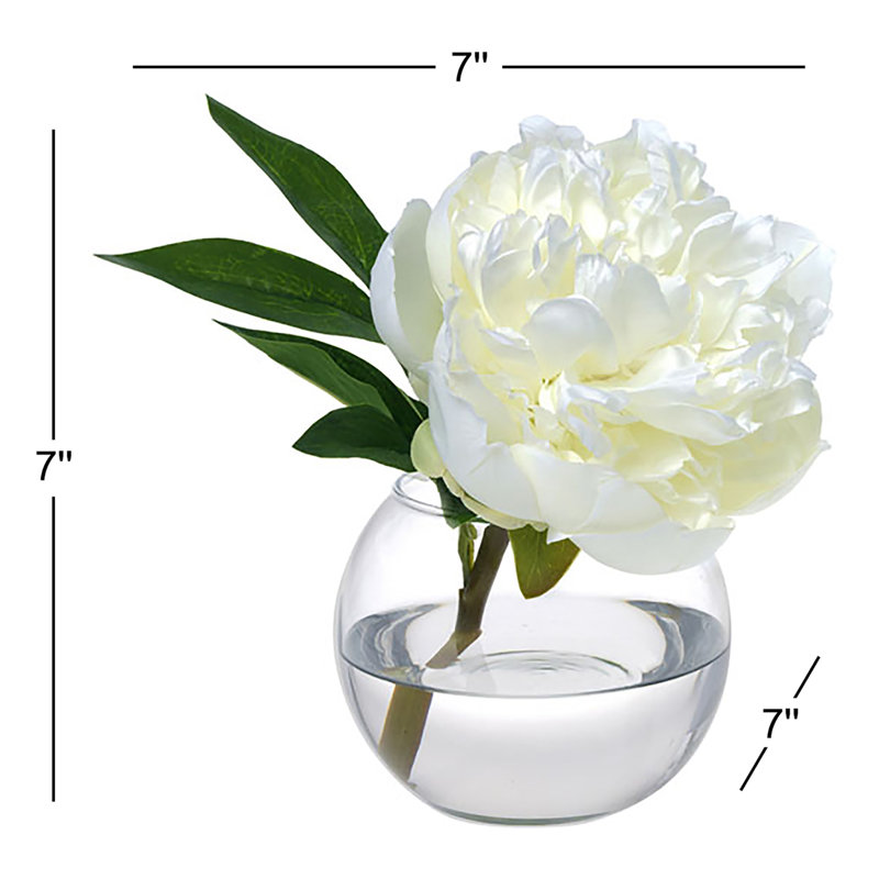 Peony Blossom in Glass Vase, White