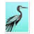 White Framed Unframed
