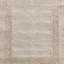 Area Rug in Ivory/Oatmeal