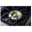 Monogram 36" Dual-Fuel Professional Range With 4 Burners And Griddle