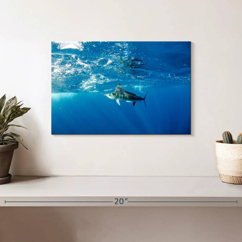 Brampt Underwater Marlin, 8" H x 12" W