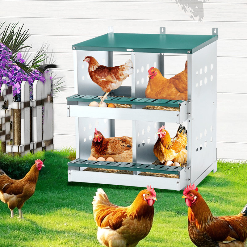 4 Compartment Chicken Nesting Boxes, Metal Nesting Boxes Wall Mount Chicken Egg Laying Box for Different Chicken Breeds