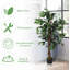 120 cm H Faux Fiddle Leaf Fig Tree Plant in Plastic Pot