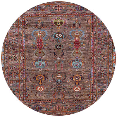 Oriental Indoor Rug