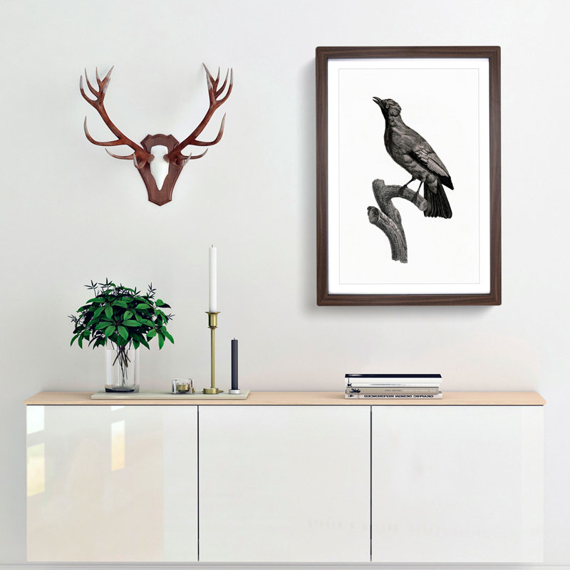 Paradise Crow by Jacques Barraband - Picture Frame Painting Print, 36cm H x 27cm W x 2cm D, Walnut Framed