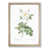 Oak Framed