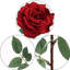 Ensemble de roses artificielles-1221183388-1313048090