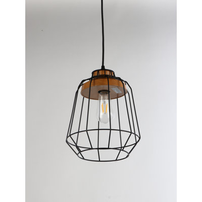 Danilo 1 - Light Single Pendant