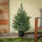 3 ft Prelit Artificial Cypress Tree with 100 Multi-Function LED Lights, Realistic Fake Tree Potted Plant, Matte Black Nursery Pot
