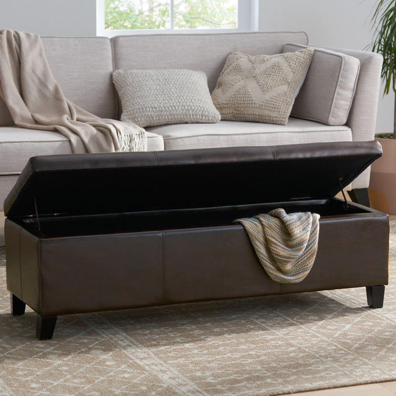 Rangement moderne en polyuréthane - avec surface d'eau, l 51,75 po x P 17,94 po x P 16,03 po, pièce fonctionnelle de banc rembourré avec charnières, h 16,03 po