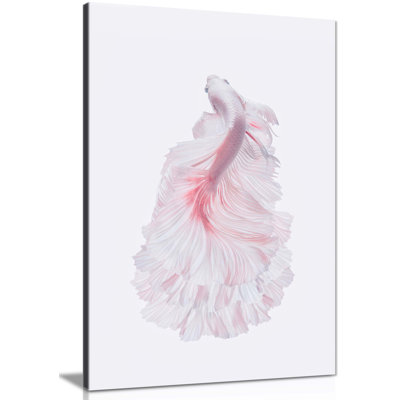 Graceful Swimming Fish - Wrapped Canvas Print