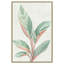 Gingembre II - reproduction d'art-55542019-55542020