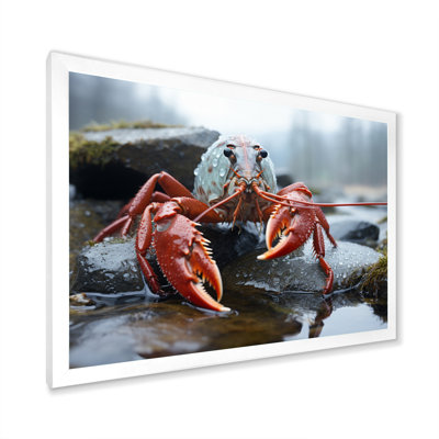 " Crayfish Monochrome Landscape Photography II "