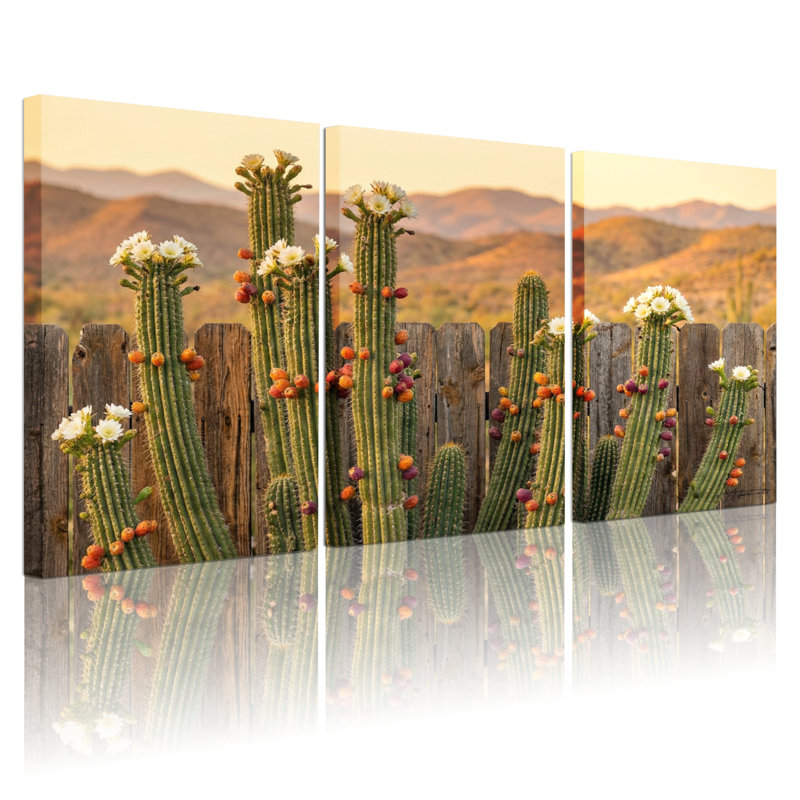 Ensemble de 3 tableaux sur toile tendue représentant un cactus du désert avec des fleurs et une clôture en bois, 1624
