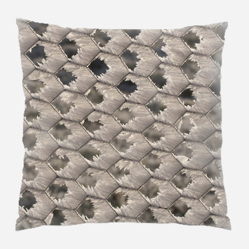 Ruhl Reversible Throw Pillow, Indoor