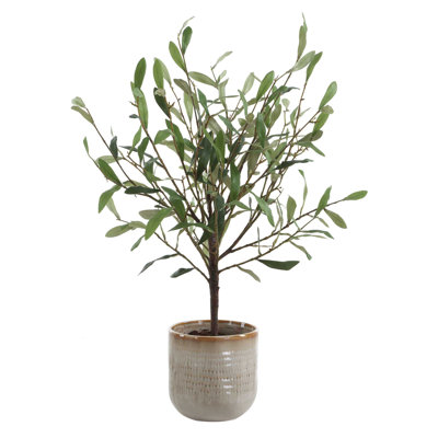 Vase texturé Uttermost Solea Olive