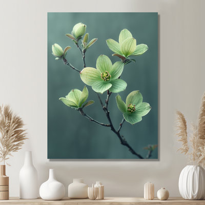 Photo hivernale de cornouiller monochrome vert gris - Cornouiller