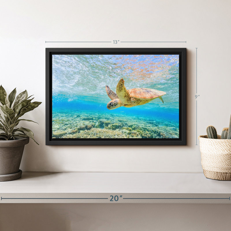Turtle Dive Canvas Print, 9" H x 13" W