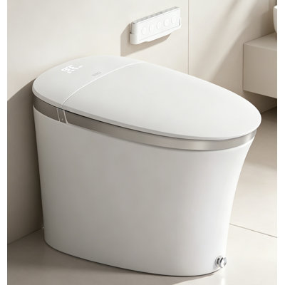 Smart Toilet with Tankless Bidet Wash, Auto Open Lid, 1.28 Gallons Auto Dual Flush, Heat Seat, Warm Wash/Dryer