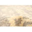 Tapis de bois one-of-kind à la main-noué la 2010 ushak gris 8 pi 9 po x 11 pi en laine Yaak