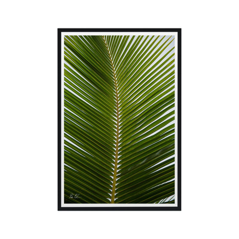 Palmier tropical, H 30 po x l 20 po x P 1,5 po, Lustre photo encadré, Noir