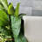 Kute Nest Elio Zen Column Fiberstone Planter - Ethereal Mood - H19.5"-888501569-888501568
