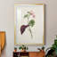 «Pretty Pink Botanicals VI» - reproduction de cadre photo-966822141-966822114