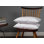 Insert de coussin - Basics by Wayfair ™
