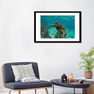 « green sea turtle », reproduction de photo sur toile par l’océan pacifique, hawaii, usa