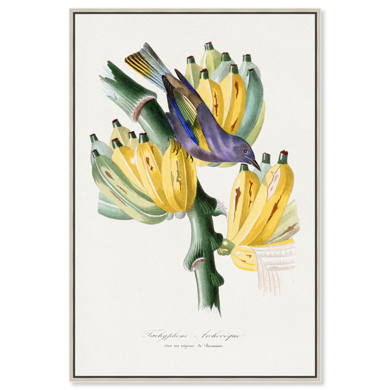 Art Remedy, reproduction d'art sur toile, archeveque tachyphonique 1842, Encadrement argenté, H 16 po x l 11 po