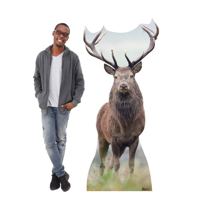 Life-Size Deer Cardboard Standup with Antlers