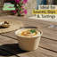 Tasse à portion compostable EcoQualité 2Oz sans couvercle - Condiments et échantillons Soufflé jetable biodégradable à portion unique - Pour les restaurants, la restauration et les mets à emporter (2000)