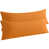 Orange / palmiers