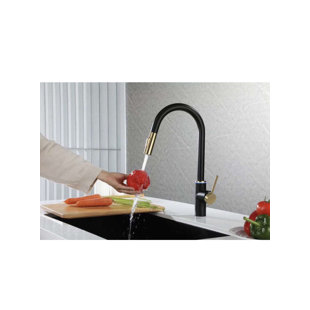 AvaMalis Pull Out Touch Kitchen Faucet