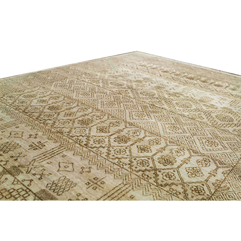 Southwestern Area Rug in Beige
