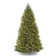 National Tree Company Dunhill Fir Tree with Dual Color LED Lights and PowerConnect